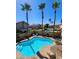 Inviting backyard oasis with a private pool, complemented by tall palm trees and desert landscaping at 16805 S 29Th Pl, Phoenix, AZ 85048