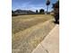 Large backyard lot with potential for landscaping and outdoor activities at 2102 W Hazelwood St, Phoenix, AZ 85015