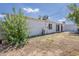 Spacious backyard with a shed and lush green trees at 3202 W Glenrosa Ave, Phoenix, AZ 85017