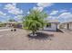 Charming home featuring a landscaped front yard with a mature tree and desert landscaping at 3202 W Glenrosa Ave, Phoenix, AZ 85017