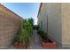 Exterior view of a side yard featuring planting beds with lush plants and greenery at 6632 W Saguaro Park Ln, Glendale, AZ 85310