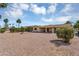 Spacious backyard featuring desert landscaping, a stone path, and mature vegetation at 811 S 79Th Way, Mesa, AZ 85208