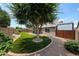 Landscaped backyard with a lawn, covered patio, and a large shade tree at 8943 W Sierra Vista Dr, Glendale, AZ 85305