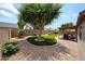 Well-maintained backyard with patio, a shade tree, and a gravel walkway at 8943 W Sierra Vista Dr, Glendale, AZ 85305