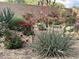 Landscaped backyard featuring desert plants, flowering bushes and rock ground cover at 9675 E Roadrunner Dr, Scottsdale, AZ 85262
