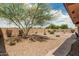 Low maintenance backyard with desert landscaping, a fountain, and mature trees at 10940 E Olla Ave, Mesa, AZ 85212