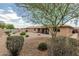 Expansive backyard featuring rock landscaping, mature tree, patio and block wall at 10940 E Olla Ave, Mesa, AZ 85212