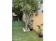 A serene backyard featuring artificial turf, mature trees, potted plants, and a private block wall for added seclusion at 1128 E Phelps St, Gilbert, AZ 85295
