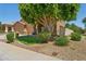 Charming front yard with a mature shade tree and well-maintained landscaping at 13724 W Luke Ave, Litchfield Park, AZ 85340