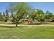Community playground with a colorful play structure and mature shade trees at 13724 W Luke Ave, Litchfield Park, AZ 85340