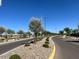 Beautiful street lined with young trees and well-kept landscaping in a new development at 16035 W Questa Dr, Surprise, AZ 85387