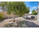 Desert landscaped backyard showcasing lemon trees offering shade and a patio area for relaxation at 205 S Higley Rd # 293, Mesa, AZ 85206