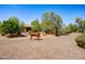 Spacious backyard adorned with desert landscaping and unique decorative metal horse feature at 21384 E Excelsior Ave, Queen Creek, AZ 85142