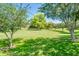 Expansive community park featuring a volleyball net, mature trees, and well-maintained green space at 2171 E Iris Dr, Chandler, AZ 85286