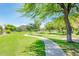 Scenic walking path winding through the lush green community park with mature trees and blue skies at 2171 E Iris Dr, Chandler, AZ 85286