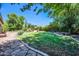Lush backyard featuring a manicured lawn, mature trees, and a stone pathway, perfect for outdoor enjoyment at 2383 E Zion Way, Chandler, AZ 85249