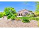 Beautifully landscaped backyard showcasing lush green lawn and mature plantings at 2383 E Zion Way, Chandler, AZ 85249
