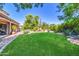 Lush green backyard with mature trees, lawn, and outdoor space at 2383 E Zion Way, Chandler, AZ 85249