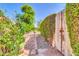 Charming side yard with stone walkway, lush plants, and rustic wooden gate at 2383 E Zion Way, Chandler, AZ 85249