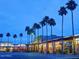 A charming street with businesses featuring well-lit sidewalks and beautiful palm trees at 240 N Monte Vista St, Chandler, AZ 85225