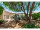 Lush backyard landscaping featuring shade trees, cactus, and covered patio at 27244 W Potter Dr, Buckeye, AZ 85396
