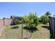 Large backyard with lush landscaping, mature trees, and sunny skies at 3633 W Redfield Rd, Phoenix, AZ 85053