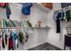 Bright walk-in closet with shelving, rod, books, and storage for organization at 41678 N Salix Dr, San Tan Valley, AZ 85140