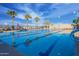 Community swimming pool with palm trees, lap lanes, and lounge chairs under a bright blue sky at 4571 N Arbor Way, Buckeye, AZ 85396