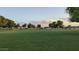 Expansive green space with well-maintained lawn and mature trees, great for outdoor activities at 4730 N 111Th Ln, Phoenix, AZ 85037