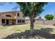 Large backyard with green lawn, mature tree, and privacy fence, offering a great space for outdoor activities at 4948 W Wikieup Ln, Glendale, AZ 85308