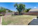 Large backyard featuring privacy fence, mature tree, and spacious grassy area at 4948 W Wikieup Ln, Glendale, AZ 85308