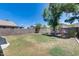 Spacious backyard featuring a block fence and mature landscaping at 4948 W Wikieup Ln, Glendale, AZ 85308