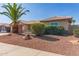 Attractive single-story home with low-maintenance desert landscaping and a mature palm tree at 7526 W Windrose Dr, Peoria, AZ 85381