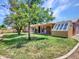 Lush backyard offers ample space with mature trees, a covered patio, and a bonus shed for extra storage at 13810 N 39Th Ave, Phoenix, AZ 85053