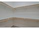 Walk-in closet with white walls, neutral carpet, and shelving with wood supports at 1650 S Crismon Rd # 63, Mesa, AZ 85209
