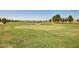 Beautifully manicured golf course with green grass and a pristine pond at 1655 W Stanford Ave, Gilbert, AZ 85233