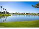 Picturesque lake view with green grass and palm trees under a clear blue sky, offering a serene natural setting at 1655 W Stanford Ave, Gilbert, AZ 85233