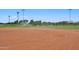 Well-maintained community baseball field with lush green grass and a bright blue sky at 19002 N Arbor Dr, Maricopa, AZ 85138