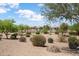 Scenic view of the desert community showcasing lush landscaping, winding paths, and a serene pond at 21532 N 262Nd Ln, Buckeye, AZ 85396