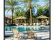 Resort-style pool area with inviting lounge chairs and shaded cabanas, surrounded by towering palm trees at 3893 E Gideon Way, Gilbert, AZ 85296