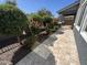 Beautiful desert landscaped side yard with trees, flowering bushes and tile at 4490 S Montana Dr, Chandler, AZ 85248