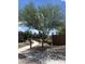 The neighborhood features lush landscaping with a paved walkway throughout the yards, creating a park-like setting at 4490 S Montana Dr, Chandler, AZ 85248