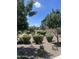 The home's yard features lush landscaping with several manicured bushes, creating a park-like setting at 4490 S Montana Dr, Chandler, AZ 85248