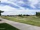 Picturesque view of the lush green golf course with mature trees and manicured lawns at 4850 E Desert Cove Ave # 241, Scottsdale, AZ 85254