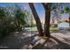 Large backyard featuring a wooden swing hanging from a mature tree, offering a relaxing space at 6911 E Thunderbird Rd, Scottsdale, AZ 85254