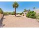A large backyard with desert landscaping and large palm trees at 6931 E Pershing Ave, Scottsdale, AZ 85254
