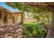 Spacious backyard with gravel landscaping, green grass, and mature trees at 941 N Benson Ln, Chandler, AZ 85224