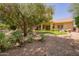 Large backyard with green grass, desert landscaping, and mature trees at 941 N Benson Ln, Chandler, AZ 85224