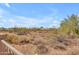 Backyard lot view of arid desert landscaping with native plants and distant homes in a community setting at 12605 E Kalil Dr, Scottsdale, AZ 85259