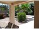 View of the landscaped backyard showcasing desert flora and fauna from the covered patio at 1333 N Higley Rd # 7, Mesa, AZ 85205